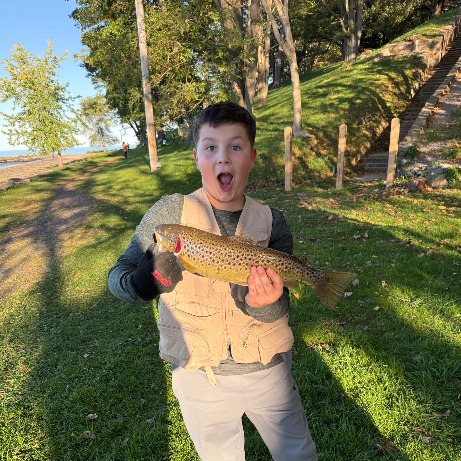 Brown trout caught on Fishbrain