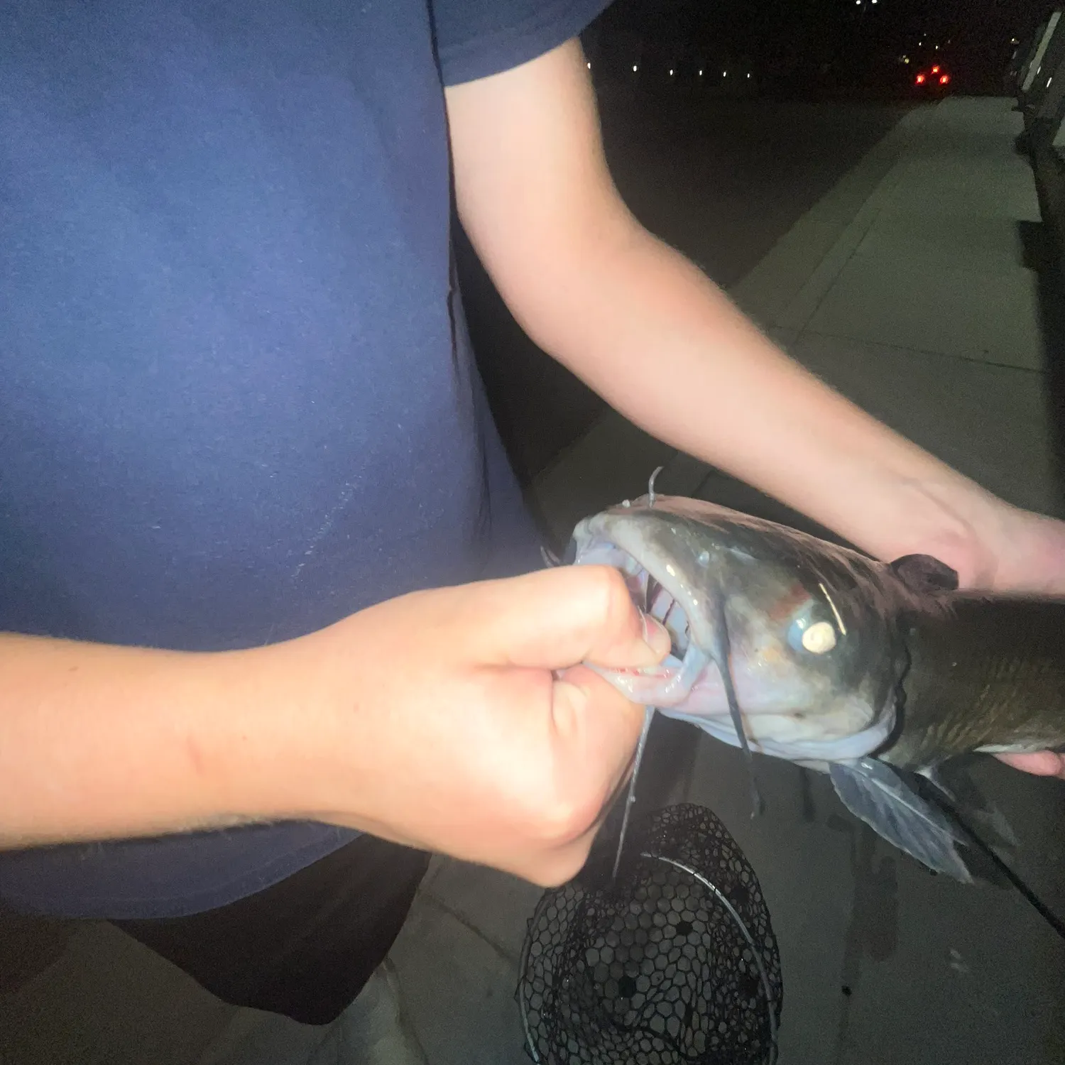 catch
