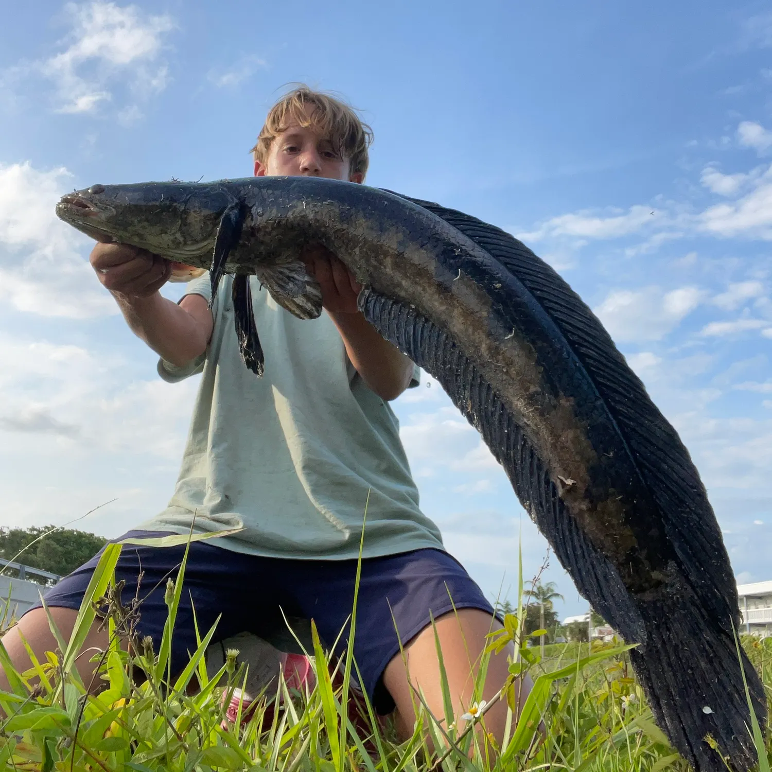 catch