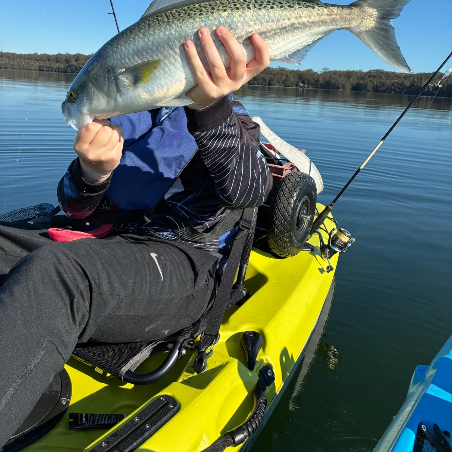 Eastern Australian salmon caught on Fishbrain