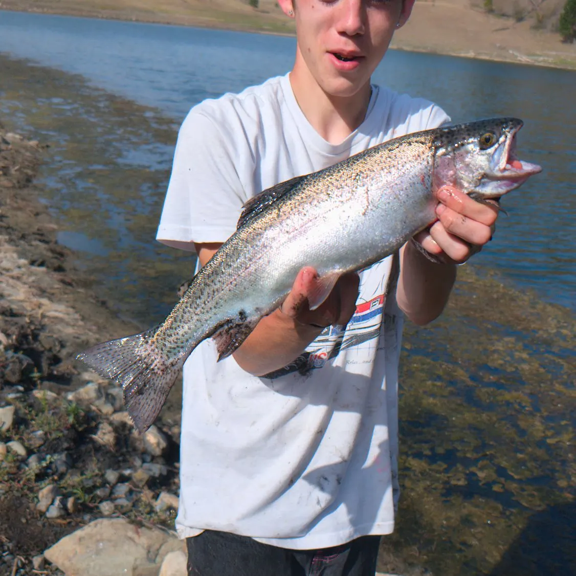 Fish caught on Fishbrain