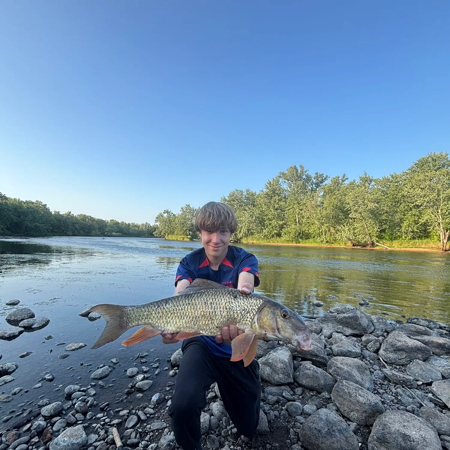 The most recent Shorthead redhorse catches on Fishbrain