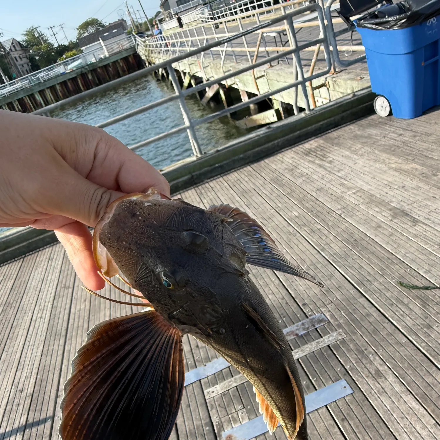 catch