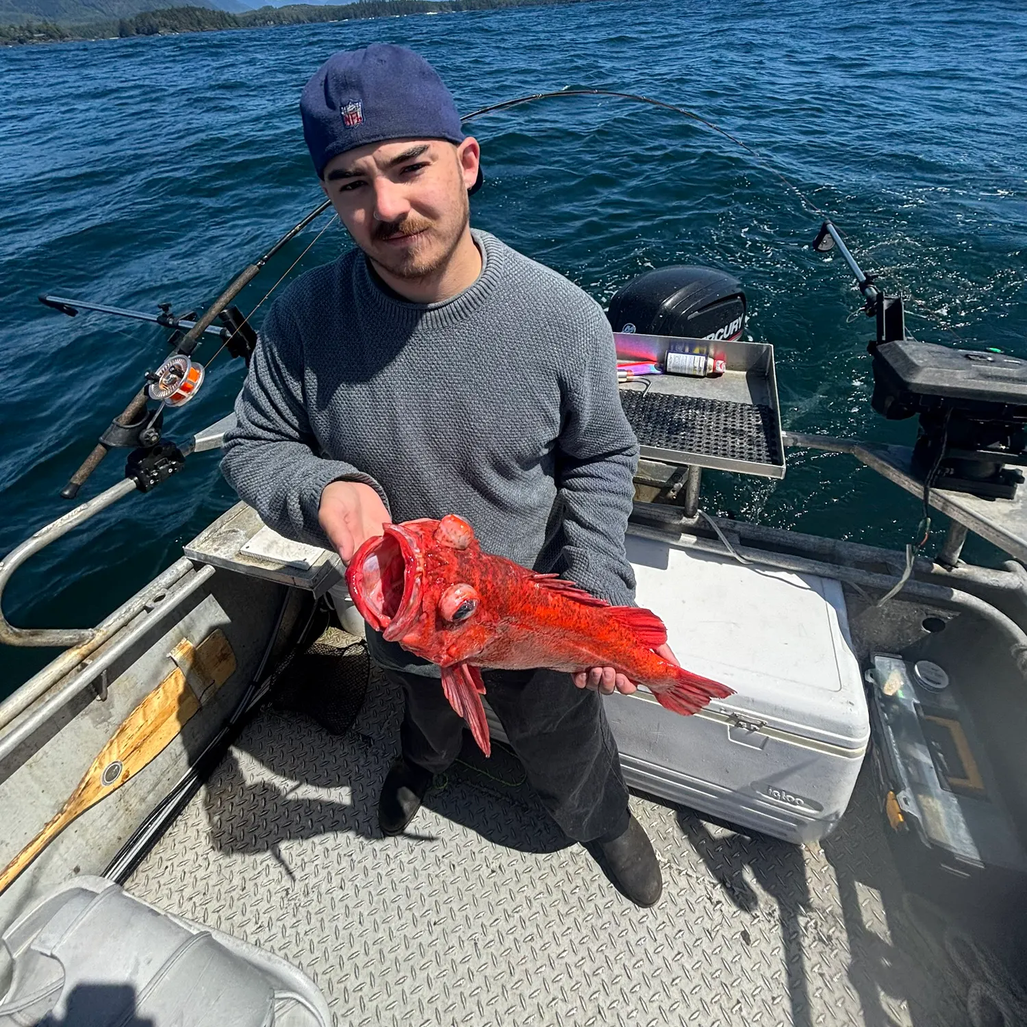 The most recent Vermilion rockfish catches on Fishbrain