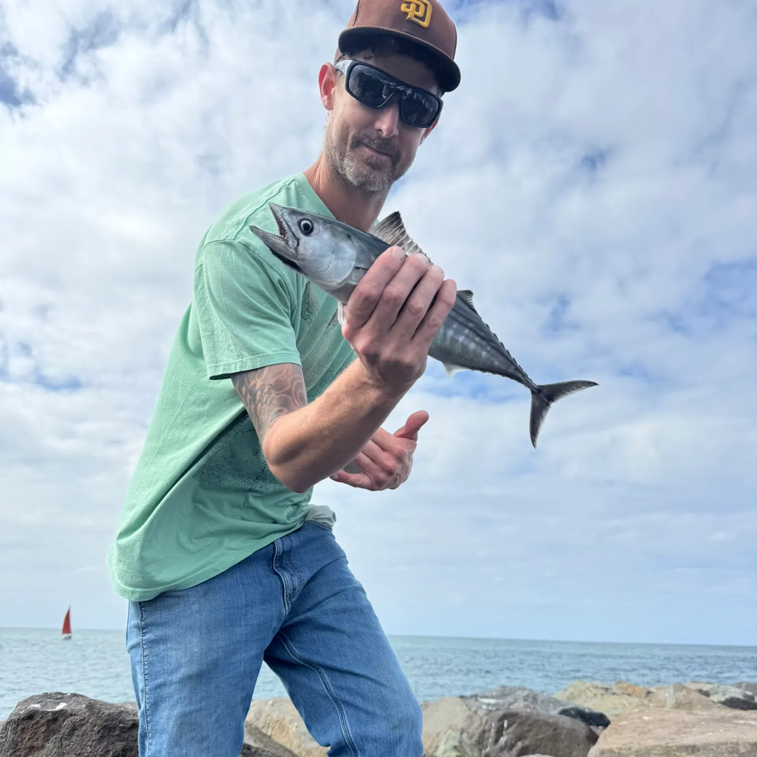 Pacific bonito caught on Fishbrain