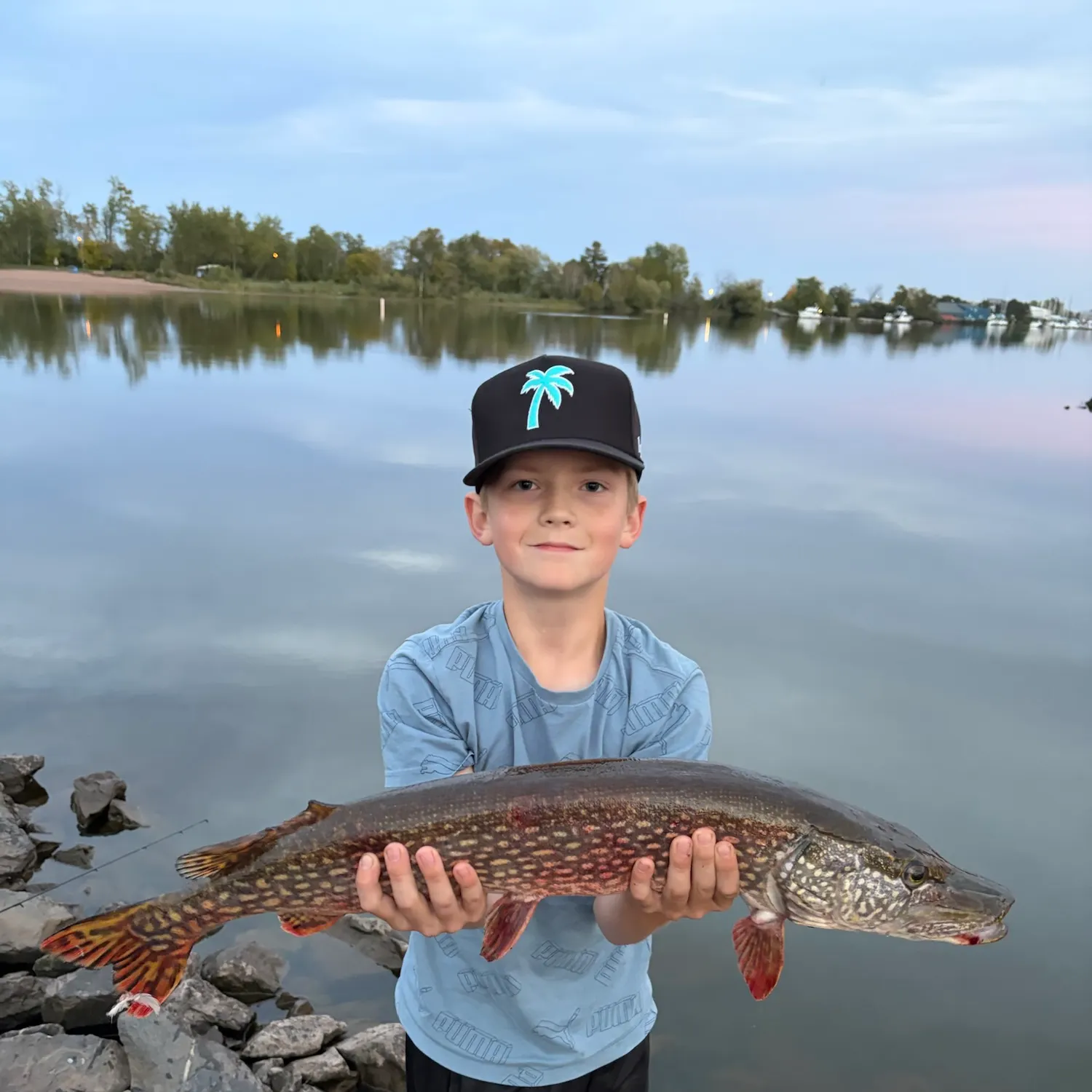 Northern pike caught on Fishbrain