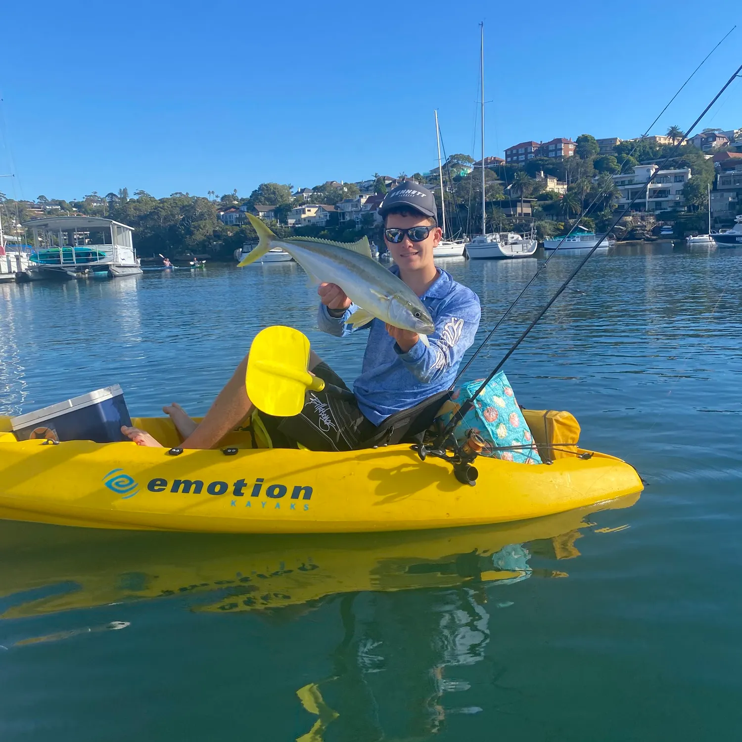 The most recent Southern yellowtail amberjack catches on Fishbrain