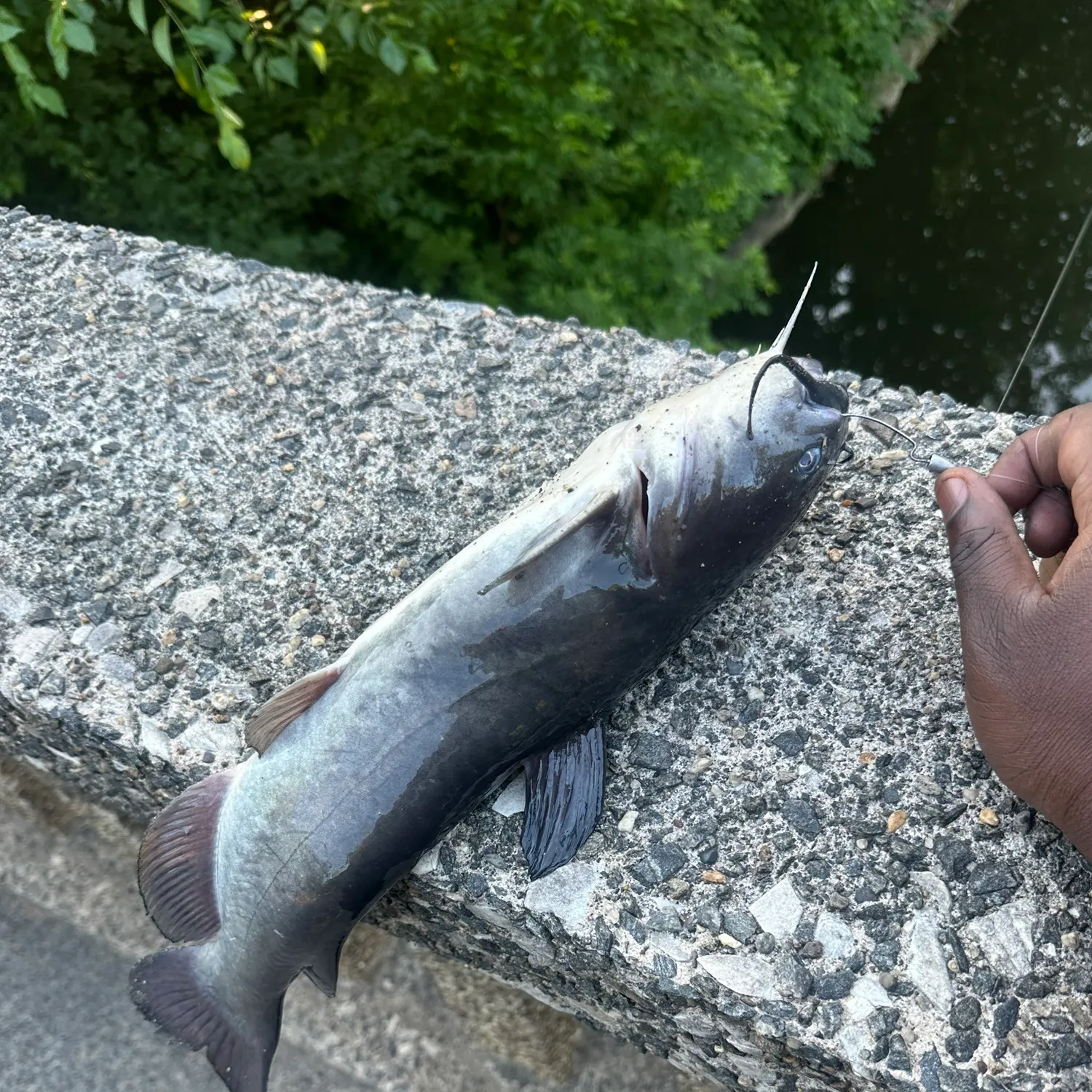 catch