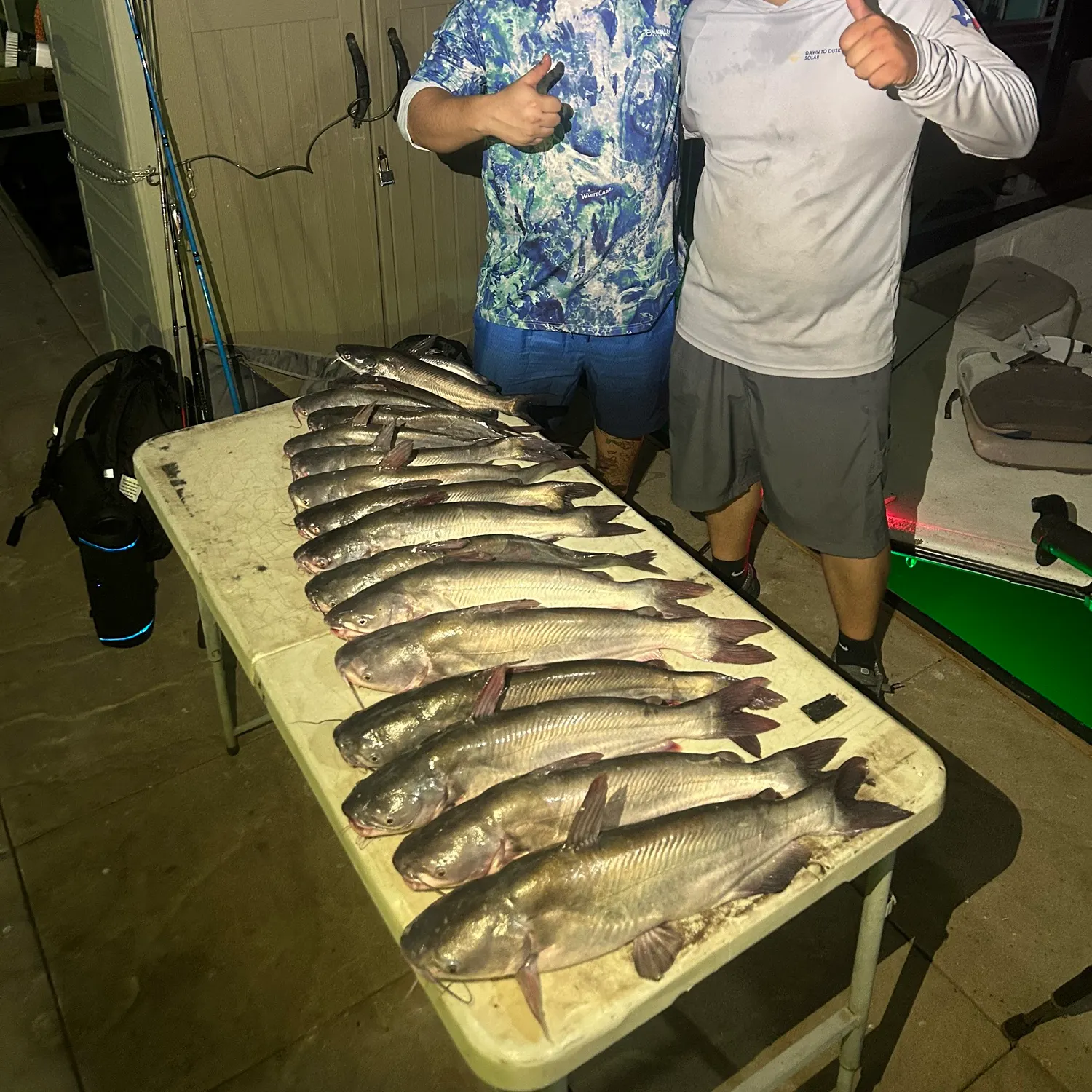 Blue catfish caught on Fishbrain