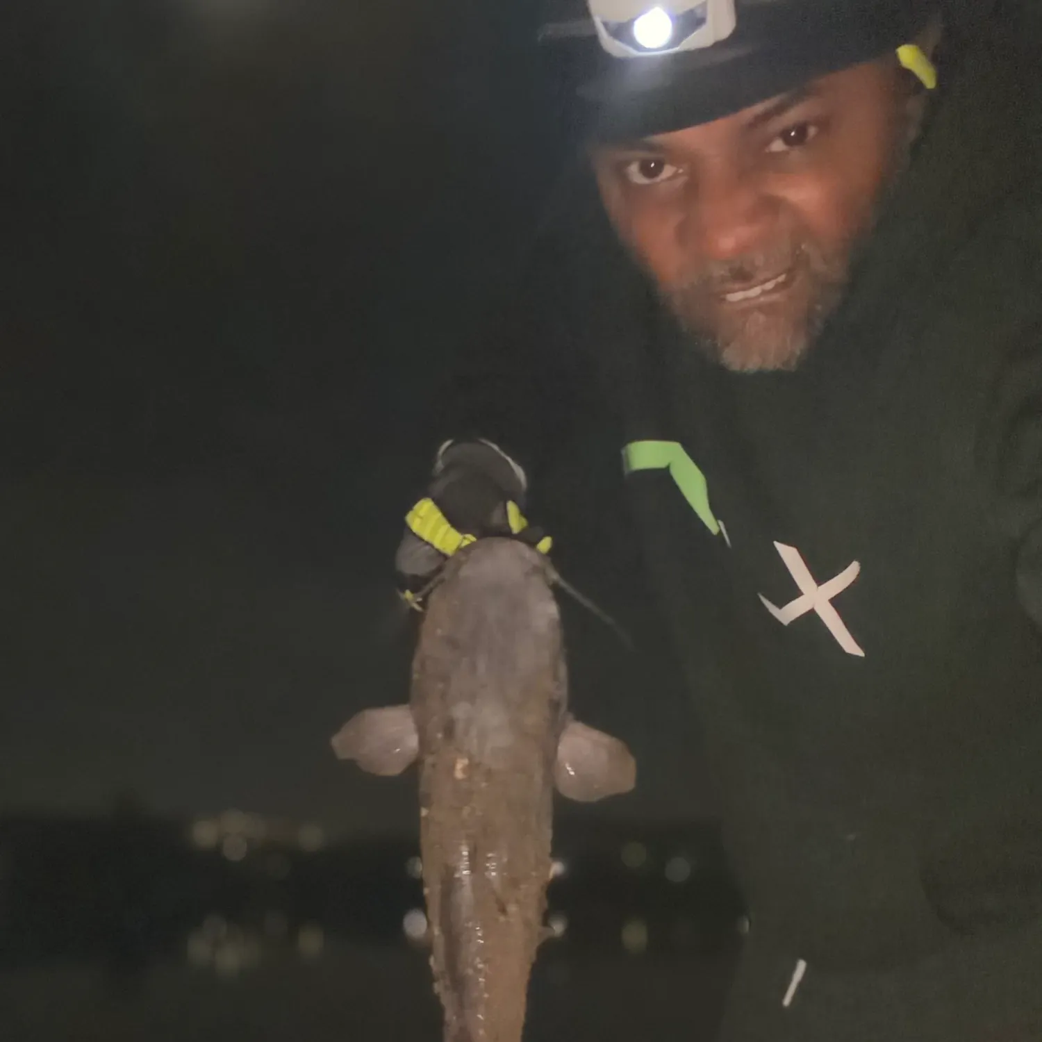 Blue catfish caught on Fishbrain