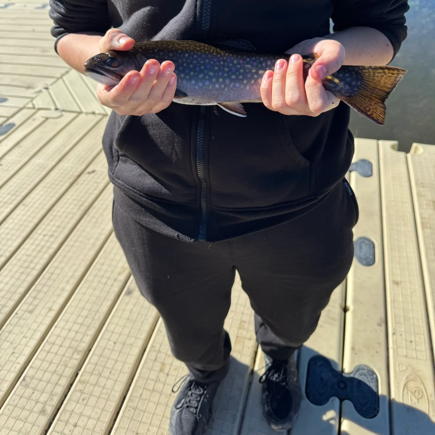 Brook trout caught on Fishbrain