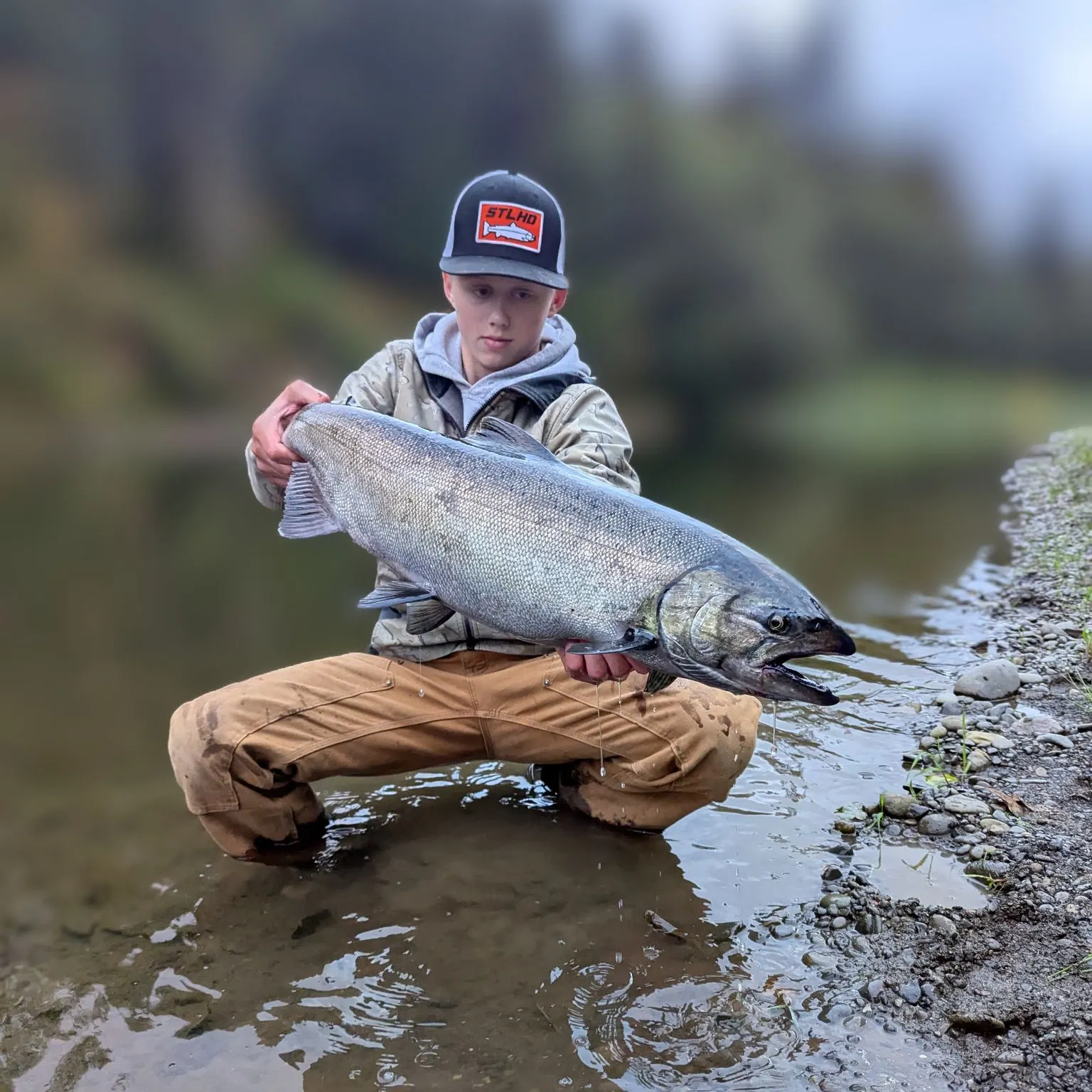 The most recent Chinook salmon catches on Fishbrain