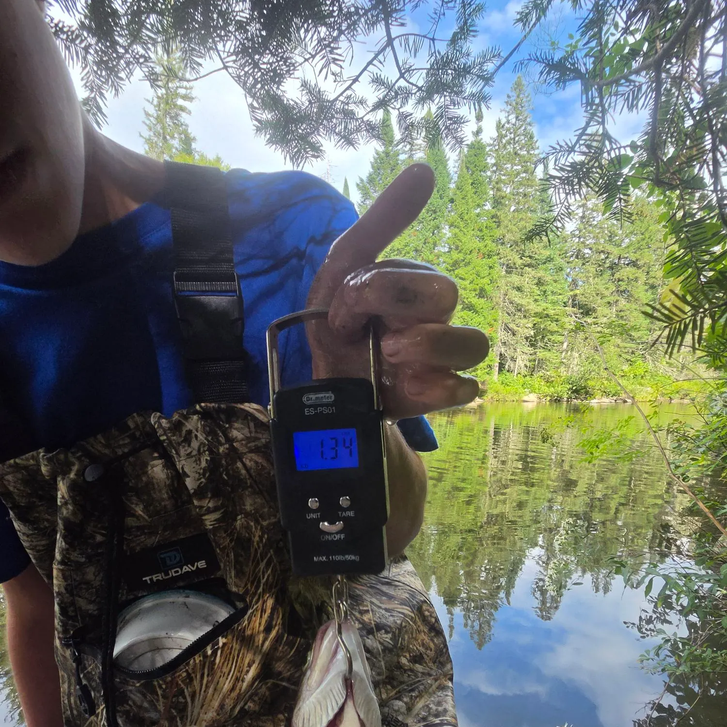 Rainbow trout caught on Fishbrain