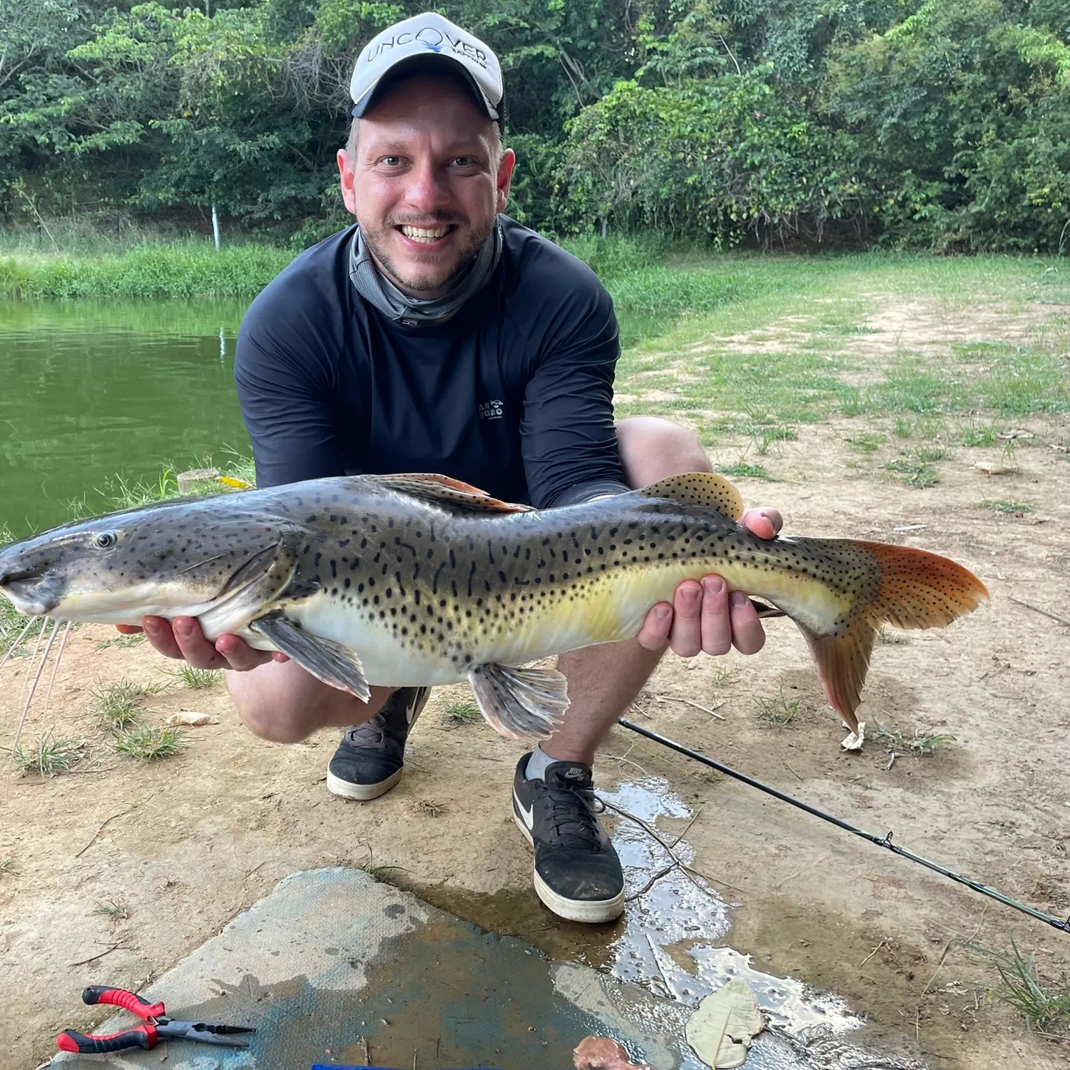The most recent Spotted sorubim catches on Fishbrain