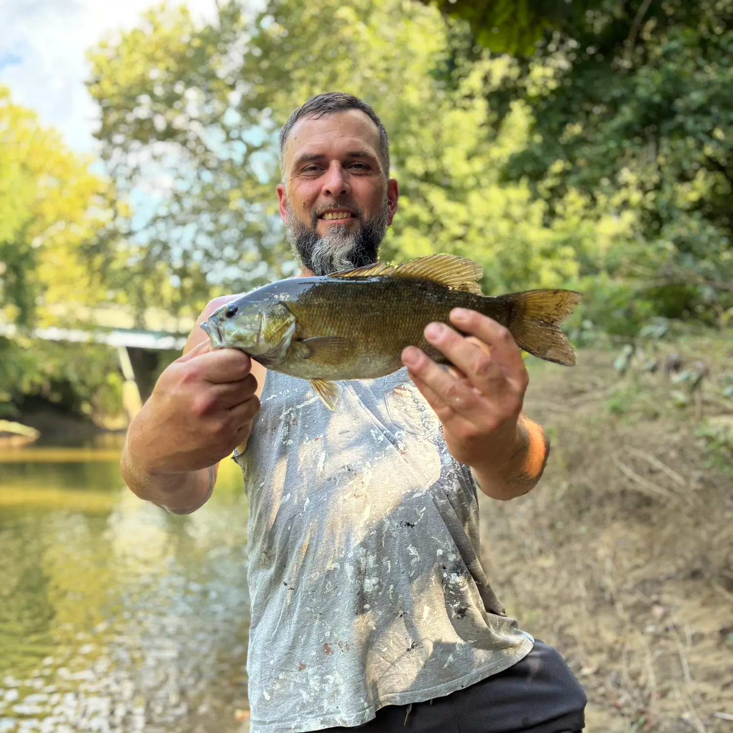 Smallmouth bass caught on Fishbrain