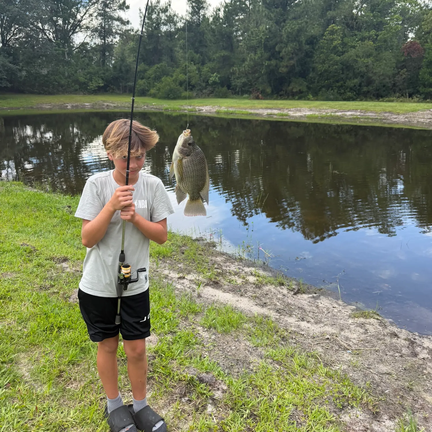 The most recent Longfin tilapia catches on Fishbrain