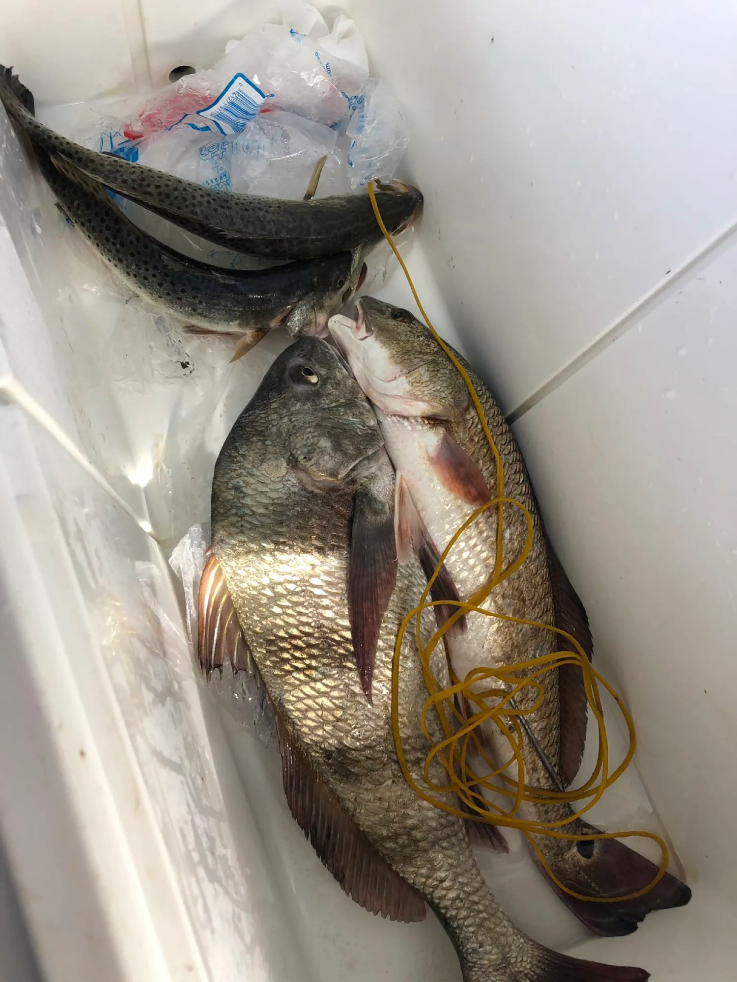 Post image from jpsantala