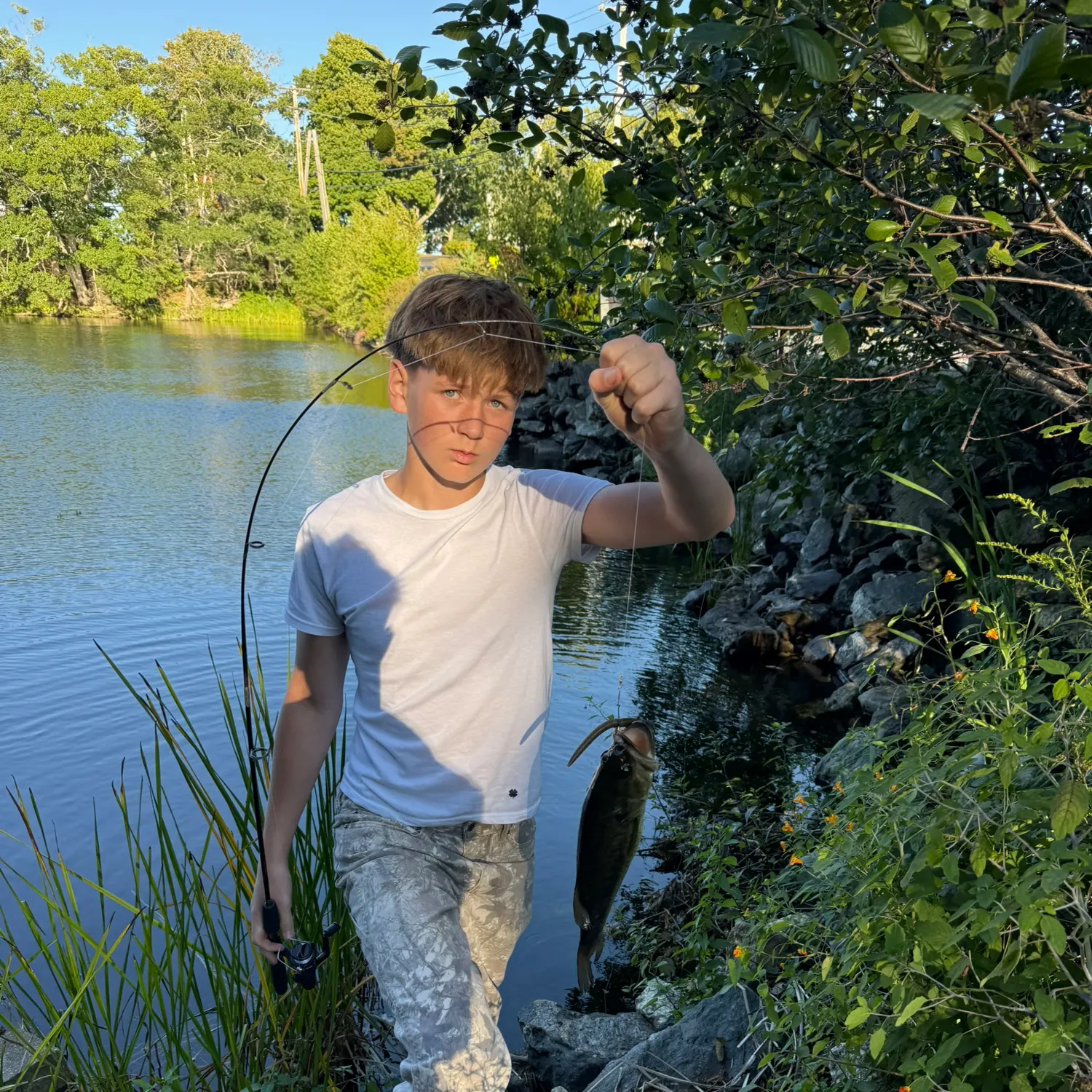 Largemouth bass caught on Fishbrain
