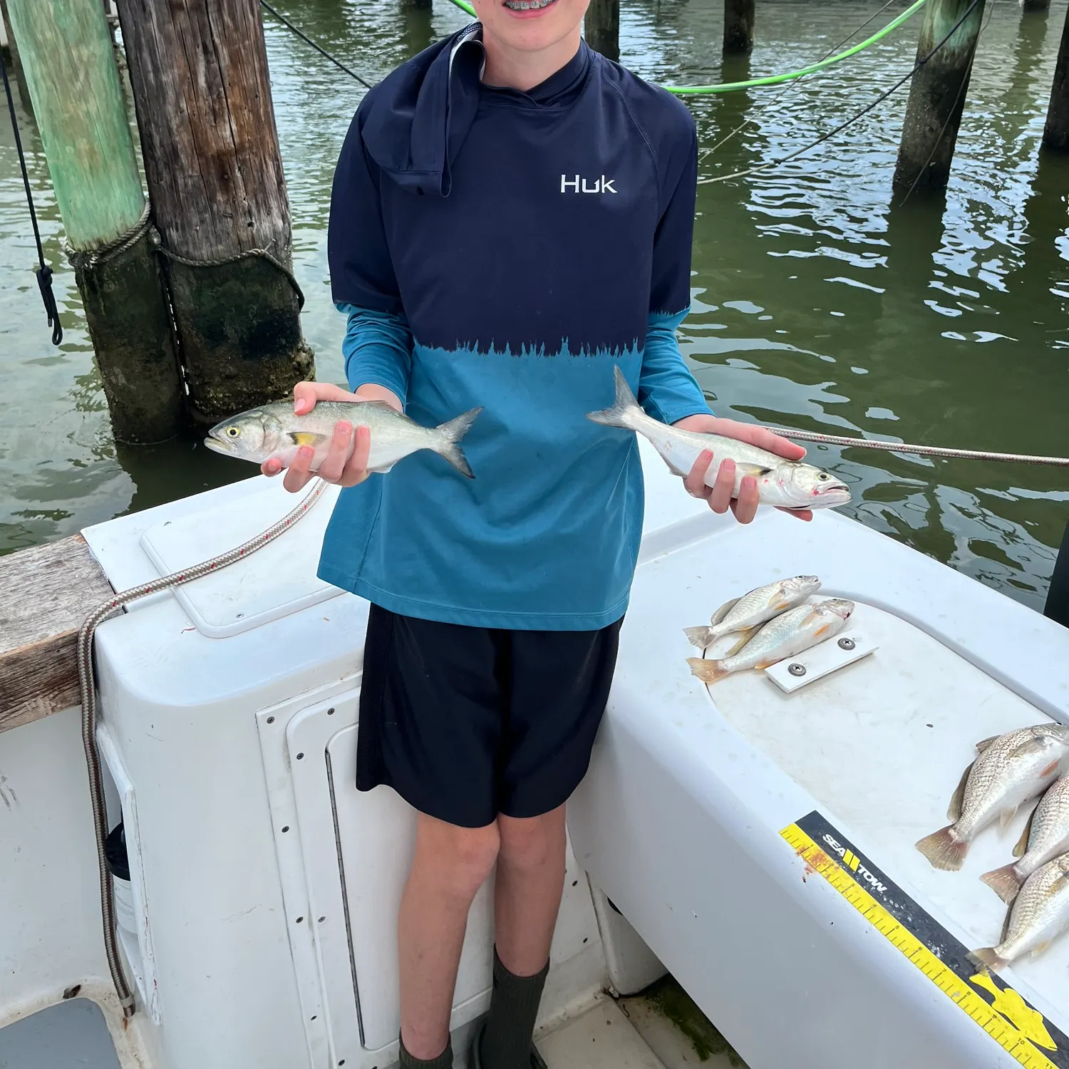 The most recent Yellowtail rockfish catches on Fishbrain