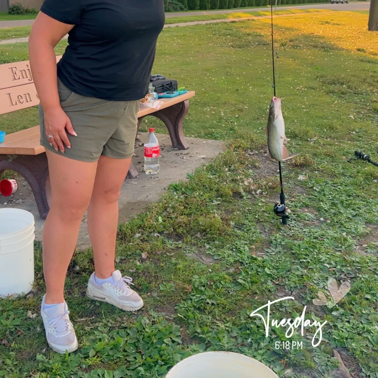 Fish caught on Fishbrain