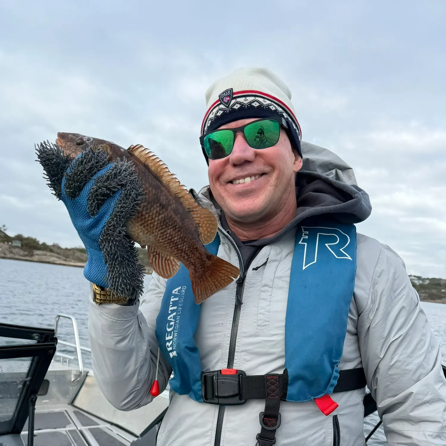 The most recent Goldsinny wrasse catches on Fishbrain