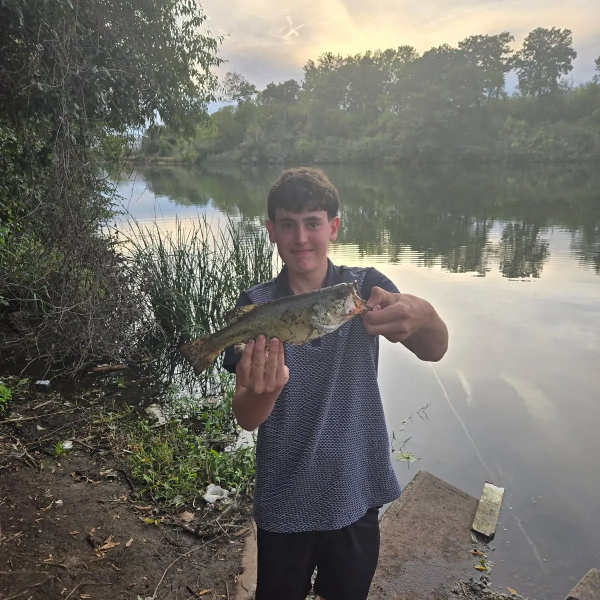 Largemouth bass caught on Fishbrain
