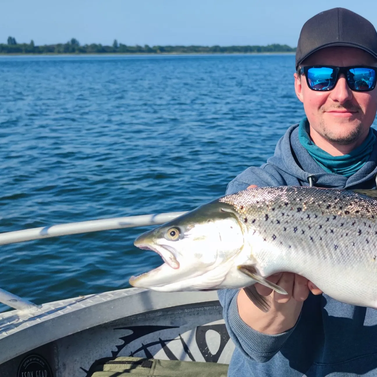 Brown trout caught on Fishbrain