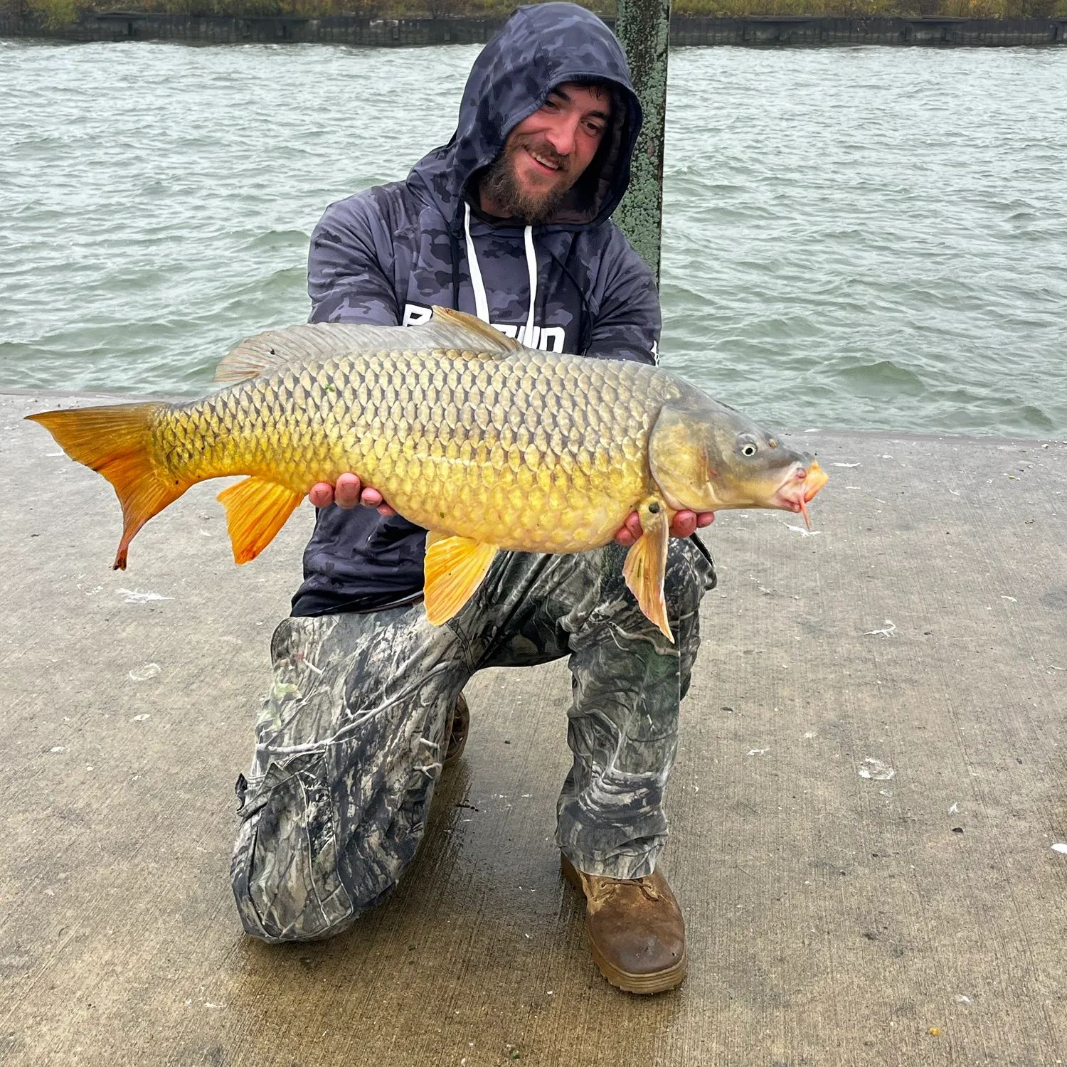 Common carp caught on Fishbrain