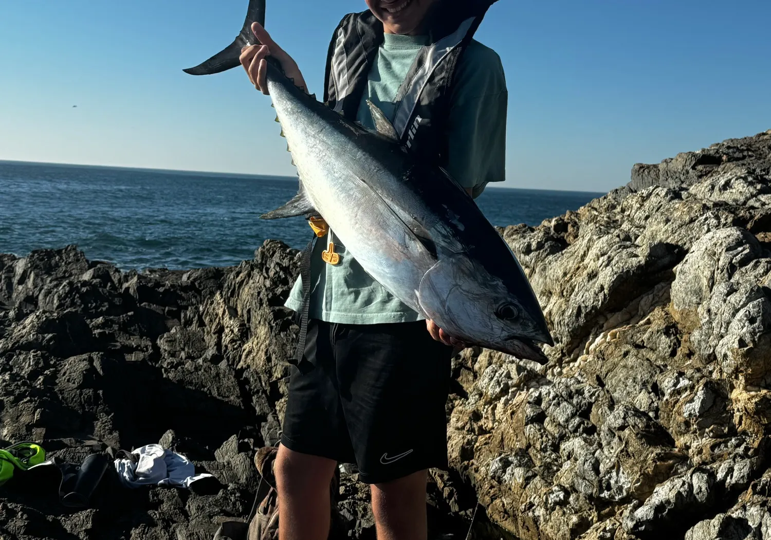 Longtail tuna