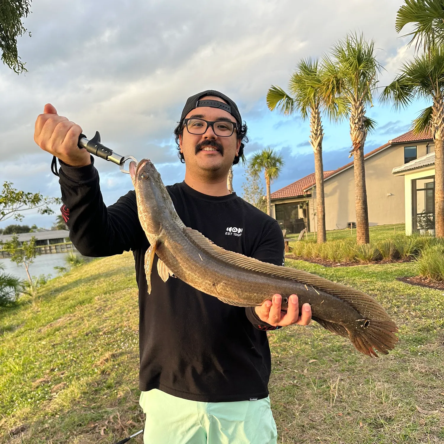 The most recent Bullseye snakehead catches on Fishbrain