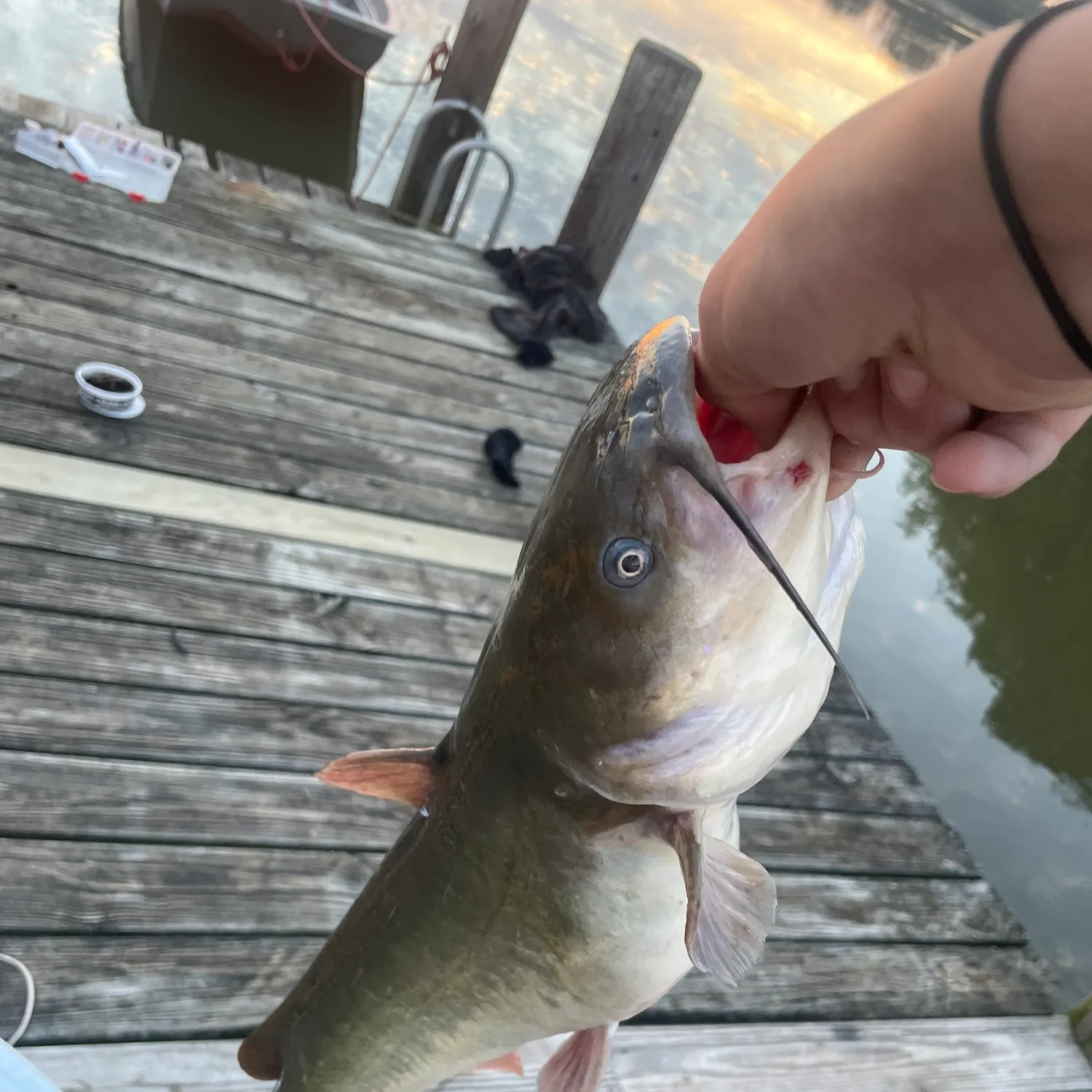 catch