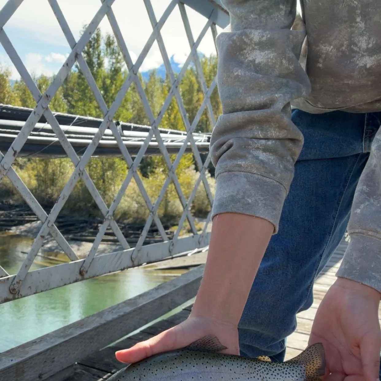 The most recent Yellowstone cutthroat trout catches on Fishbrain