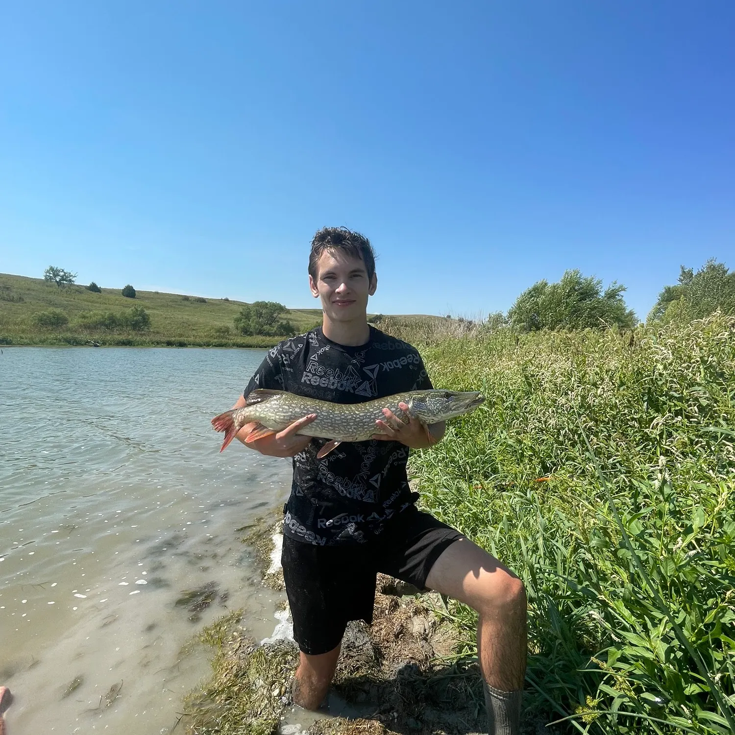 Northern pike caught on Fishbrain