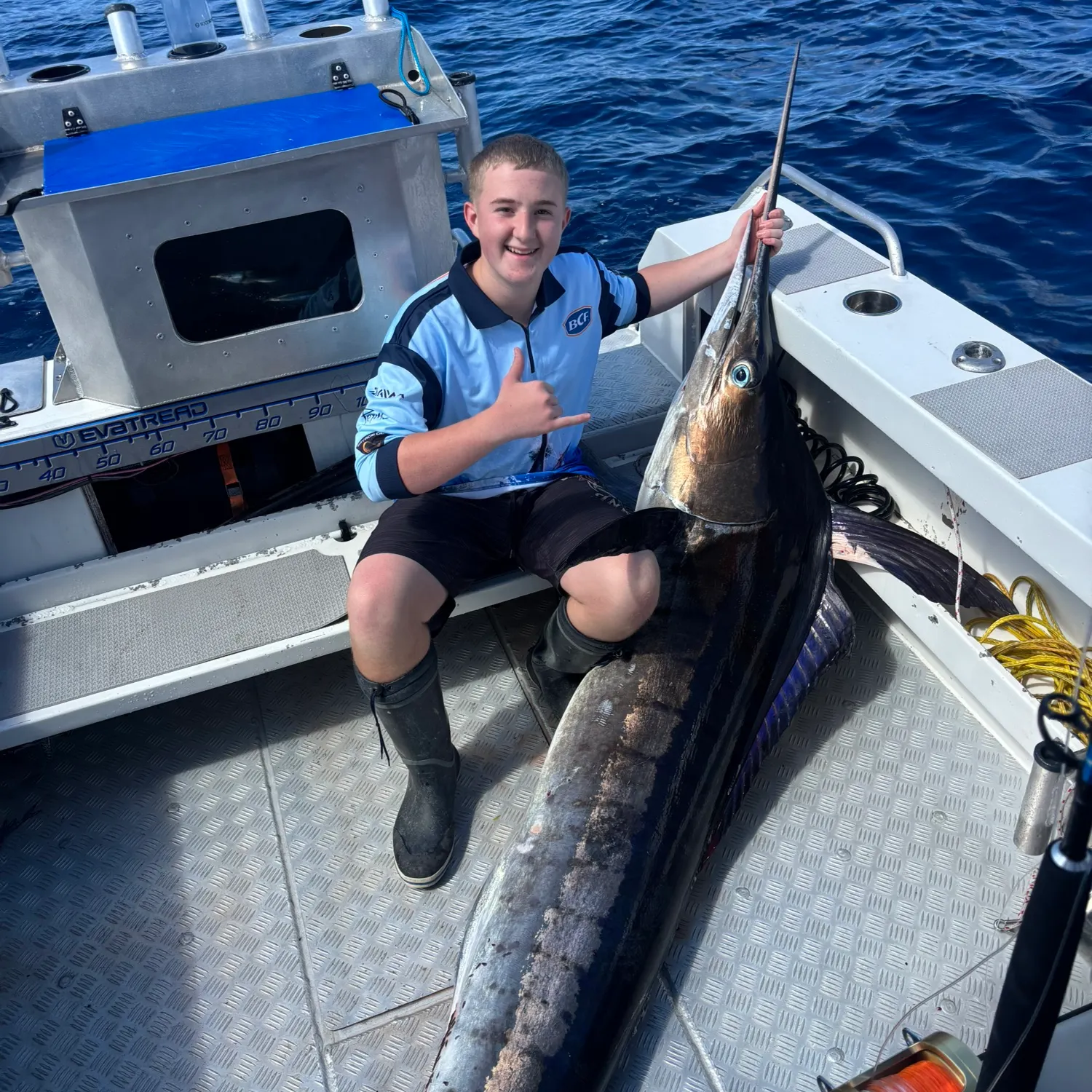 The most recent Striped marlin catches on Fishbrain