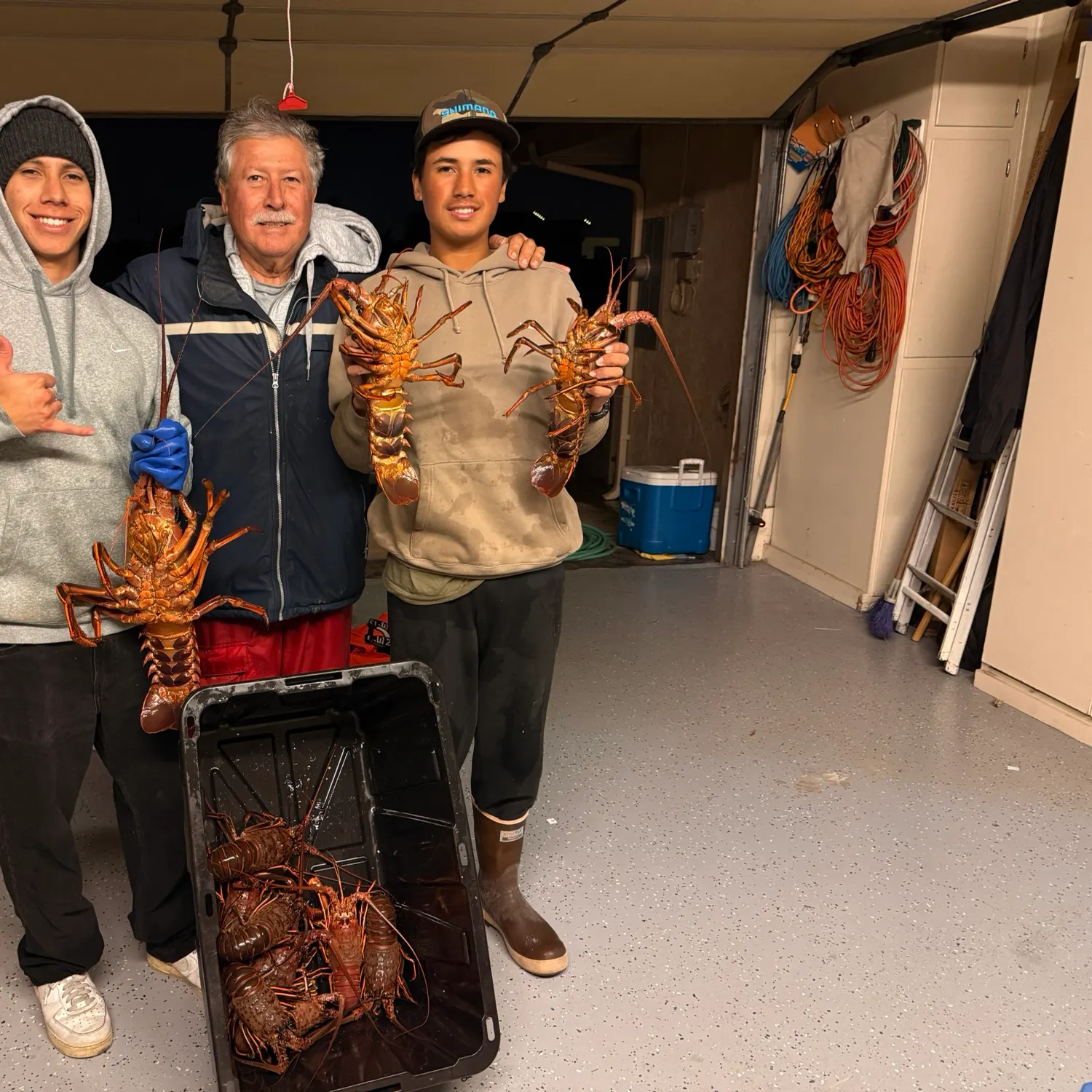 The most recent California spiny lobster catches on Fishbrain