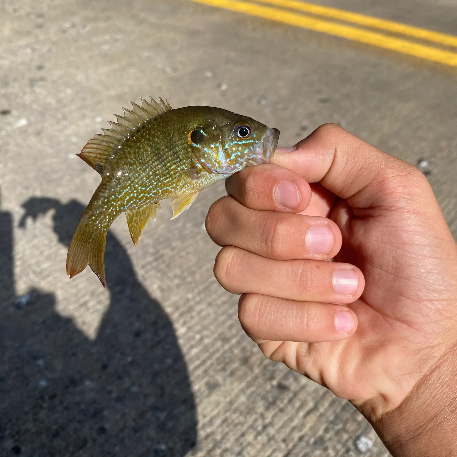 catch