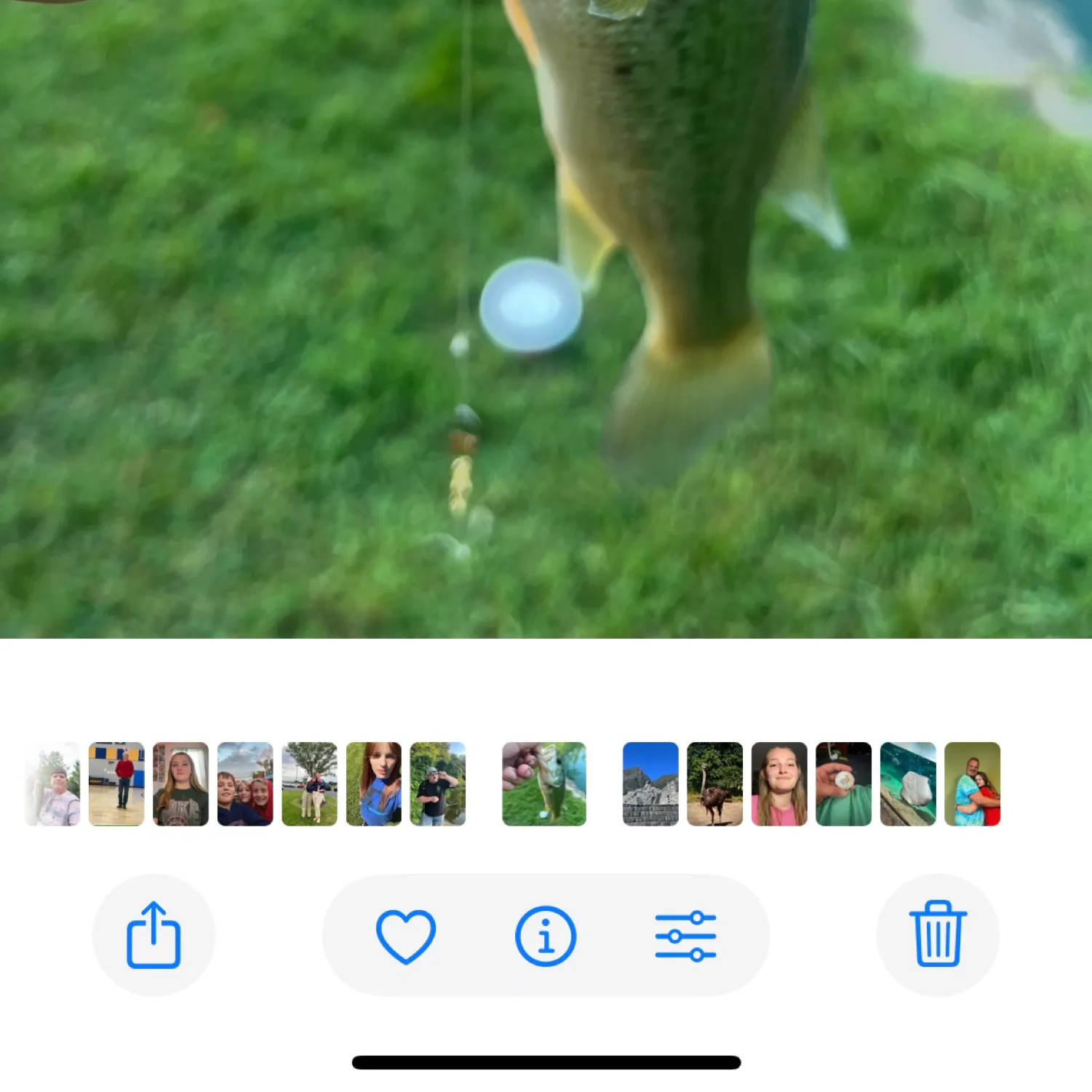 recently logged catches