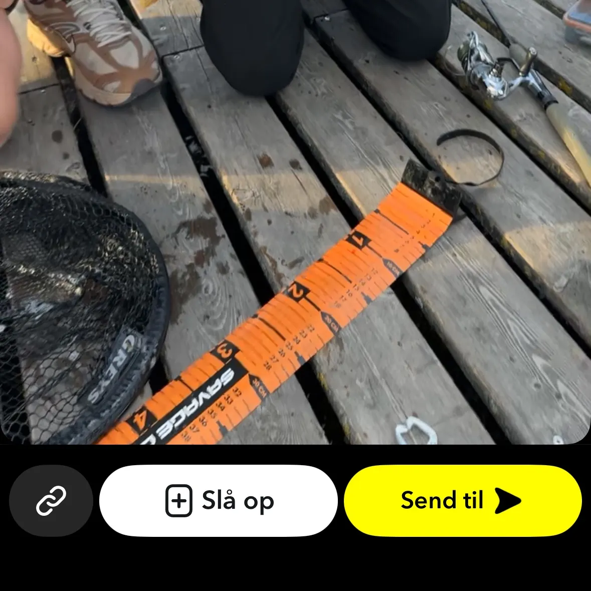 Northern pike caught on Fishbrain