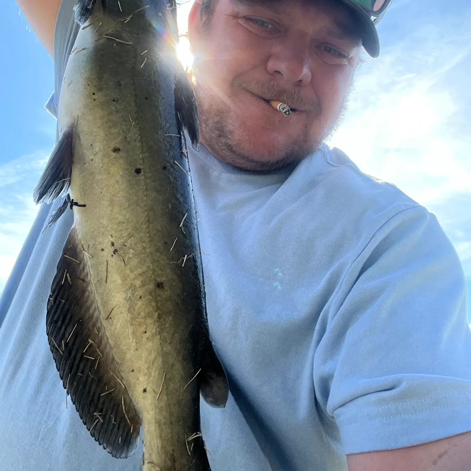 Channel catfish caught on Fishbrain