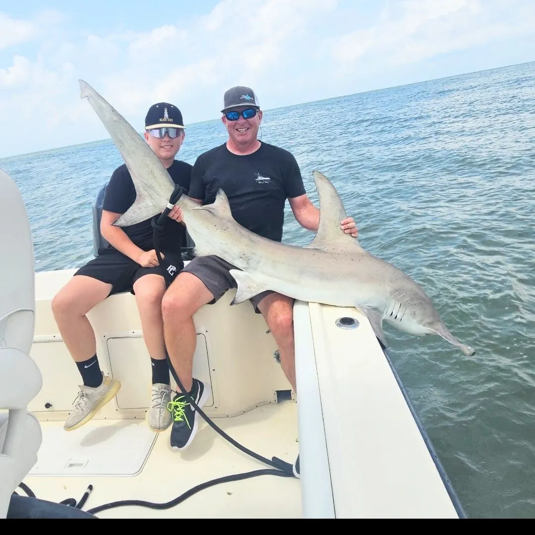 The most popular recent Smooth hammerhead shark catch on Fishbrain