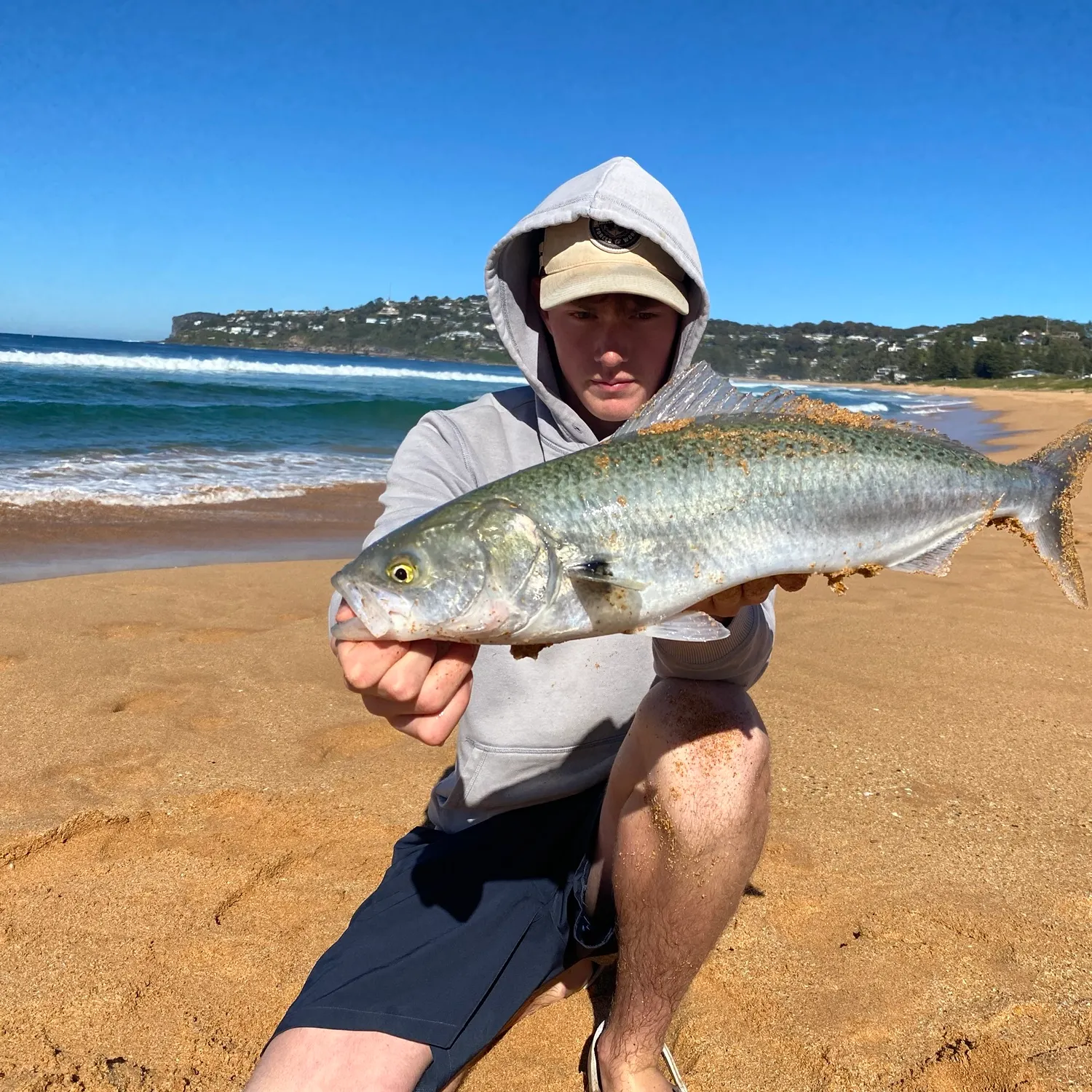 Eastern Australian salmon caught on Fishbrain