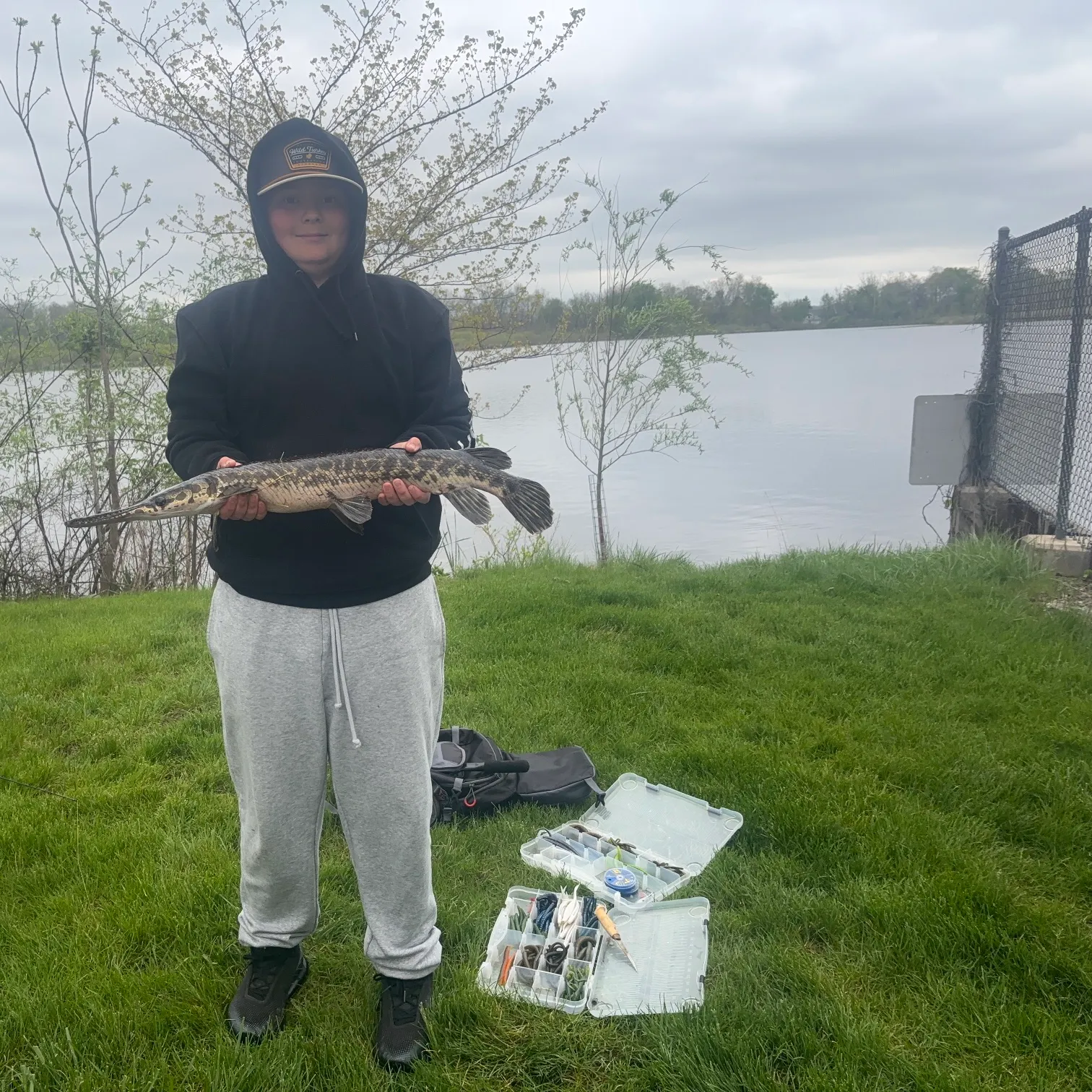 The most recent Spotted gar catches on Fishbrain