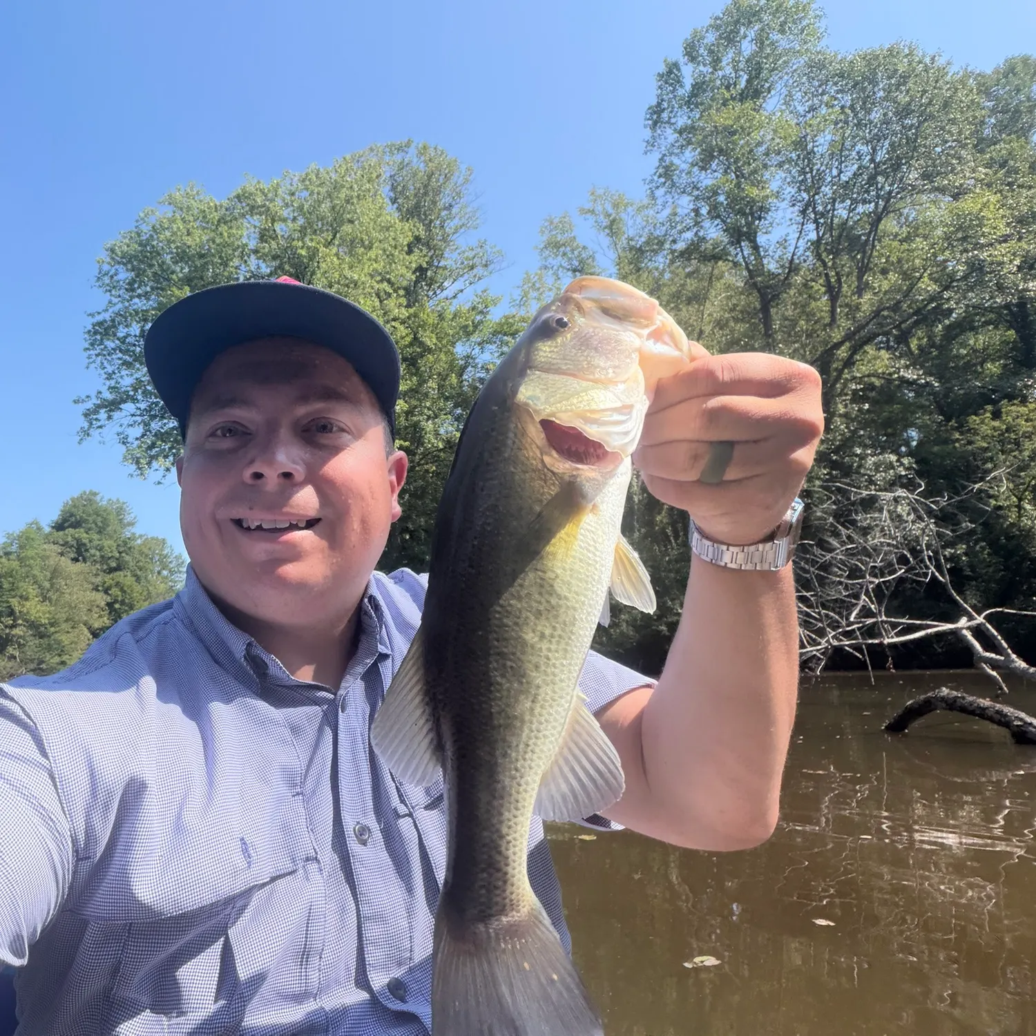 Largemouth bass caught on Fishbrain