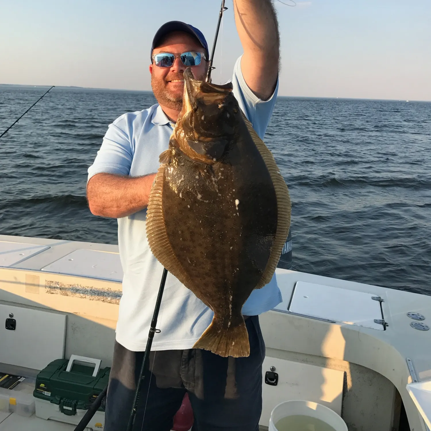 Summer flounder caught on Fishbrain