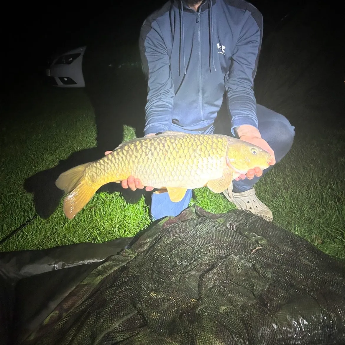 Common carp caught on Fishbrain