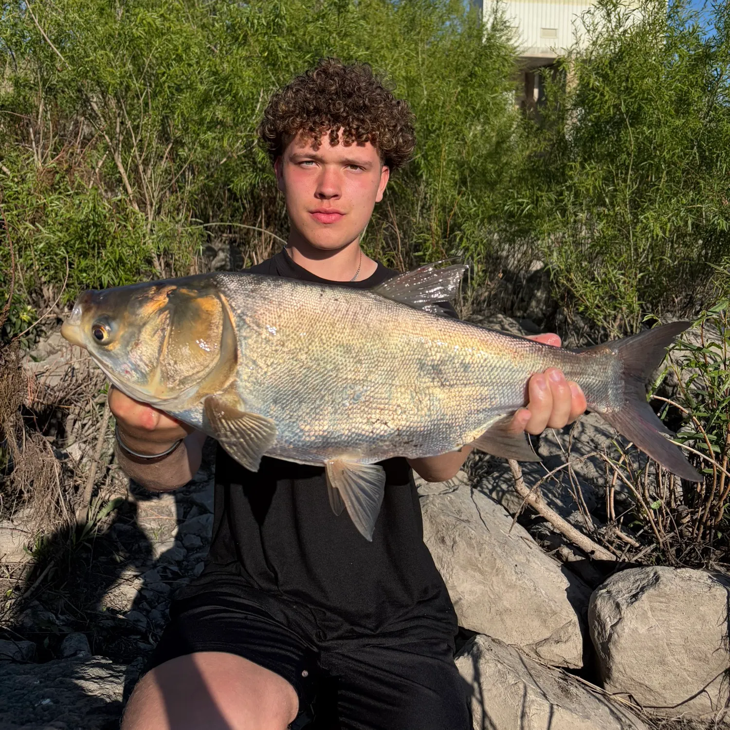 The most recent Silver carp catches on Fishbrain