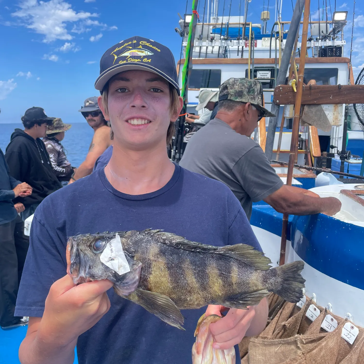 The most recent Treefish catches on Fishbrain