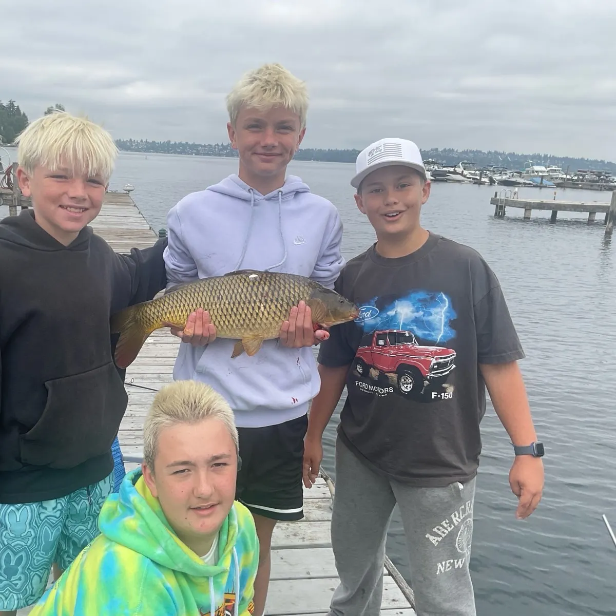 Common carp caught on Fishbrain