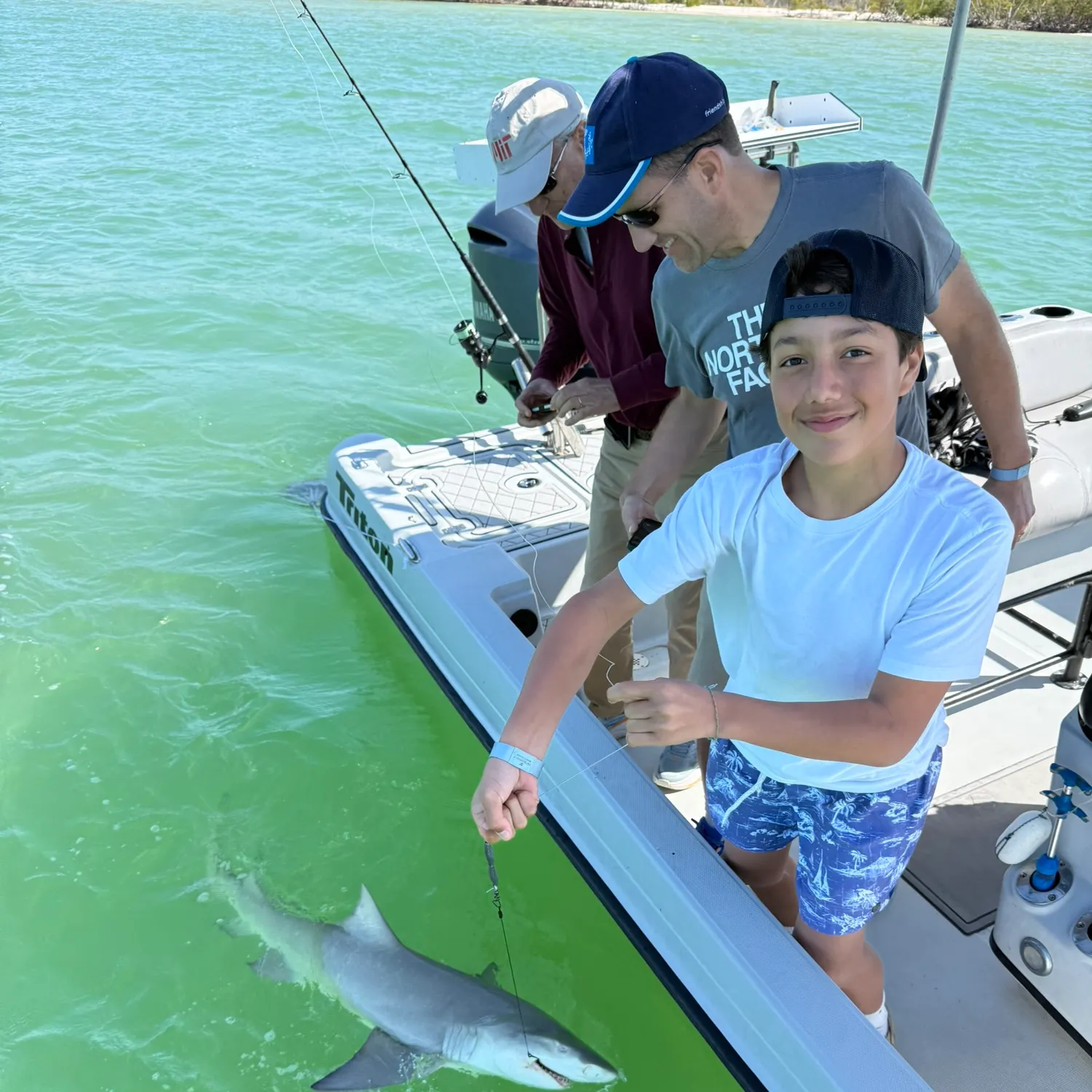 The most recent Lemon shark catches on Fishbrain