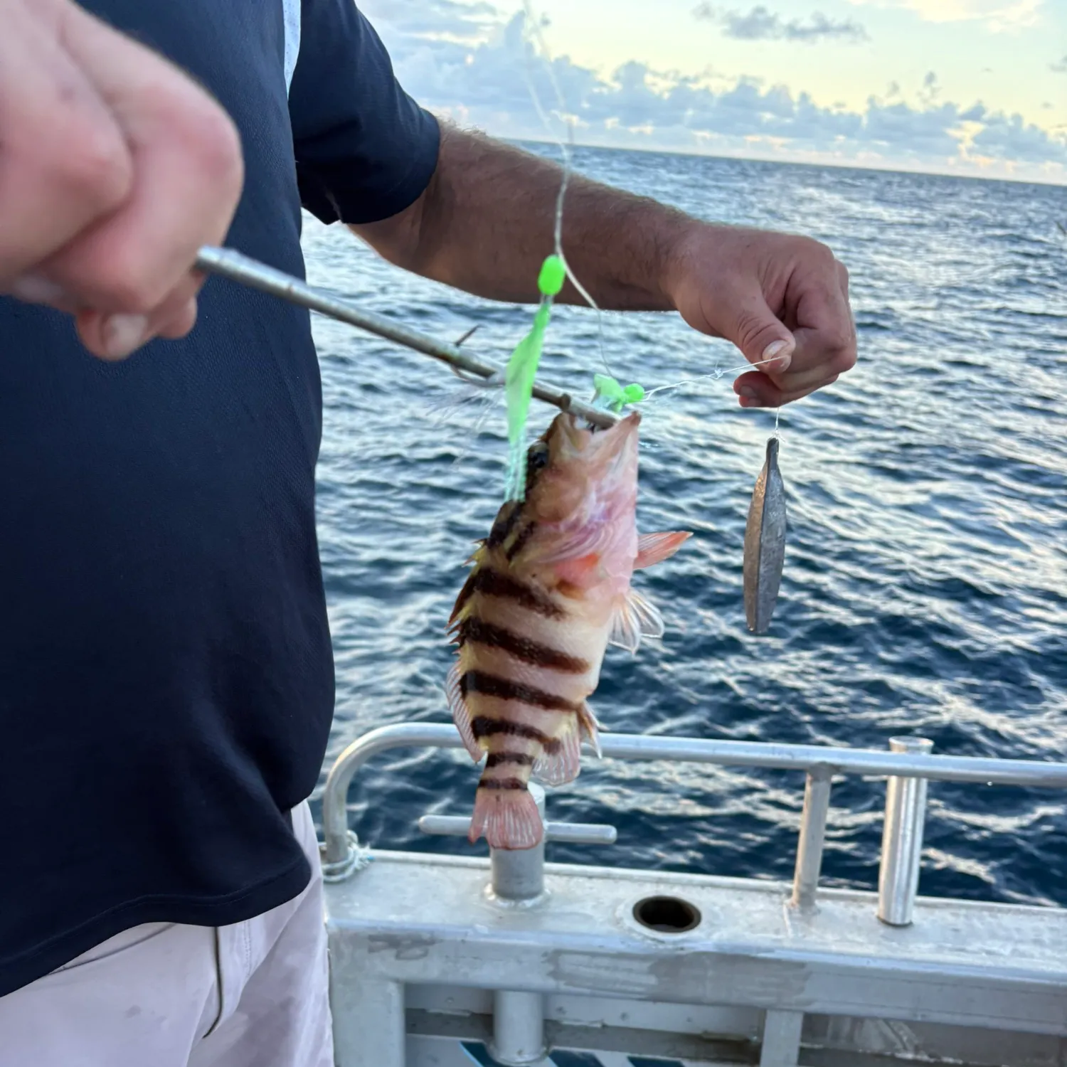 The most recent Banded seaperch catches on Fishbrain